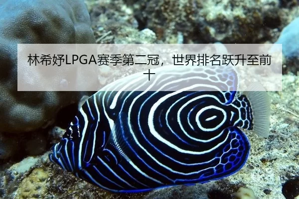 林希妤LPGA赛季第二冠，世界排名跃升至前十